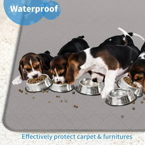 Miniatura 7 de CoolShields - Alfombrilla lavable para orines de cachorro, 72 X 72 extra grande, tapete impermeable para entrenamiento de parto en corralito, jaula