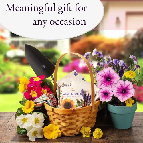 Miniatura 5 de Camas - Paquetes de semillas de flores silvestres polinizadoras - (20) recuerdos de fiesta para atraer abejas, mariposas y colibríes a tu planta