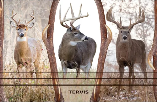 Miniatura 2 de Tervis Deer Trio - Vaso aislado de doble pared hecho en Estados Unidos mantiene las bebidas frías y calientes, 16 onzas, clásico