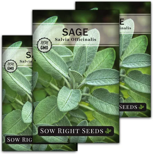 Miniatura 8 de Sow Right Seeds - Semillas de salvia para plantar - Paquete de reliquia sin OMG con instrucciones para plantar y cultivar hierbas de cocina
