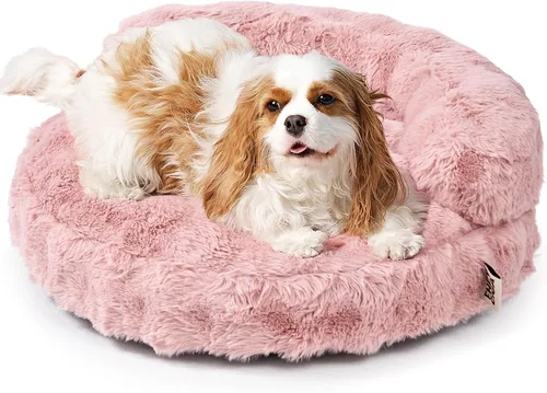 Miniatura 19 de EHEYCIGA Sofá cama suave para gatos de interior, cama extra pequeña esponjosa para perros con funda extraíble lavable, sofá para mascotas, Camello