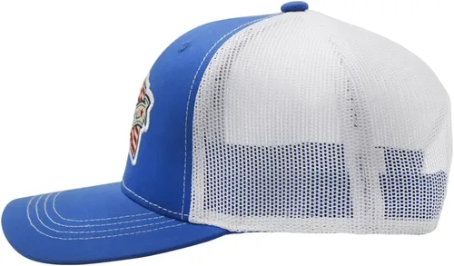 Miniatura 7 de Fits Y'all USA Flag Americana Structured Trucker Hat for Unisex and 3XL Oversize