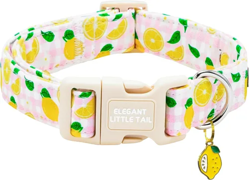 Miniatura 29 de Elegant Little Tail - Collar para perro de otoño, collar floral naranja duradero para perros medianos, ajustable para mascotas macho o hembra