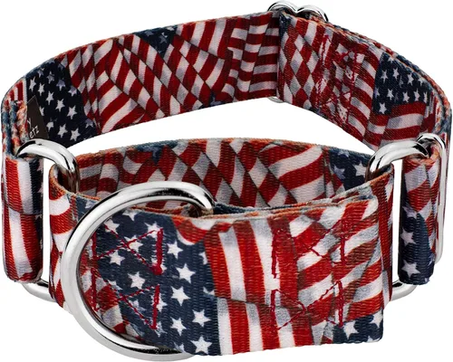 Miniatura 11 de Country Brook Petz HossFit Jr - Collar ancho de Martingala para perro, colección Americana con diseños patrióticos (celebración americana, mediano)