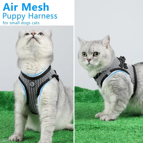 Miniatura 4 de Arnés para perros – Chaleco transpirable para cachorros para perros pequeños, arnés de malla para gatos (negro, S)