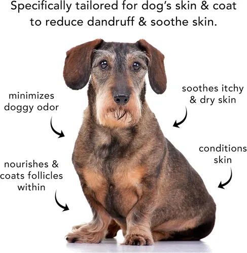 Miniatura 7 de Pride and Groom The Sensitive One Box Set – Champú y acondicionador para perros con mezcla natural de aceites esenciales e ingredientes para calmar