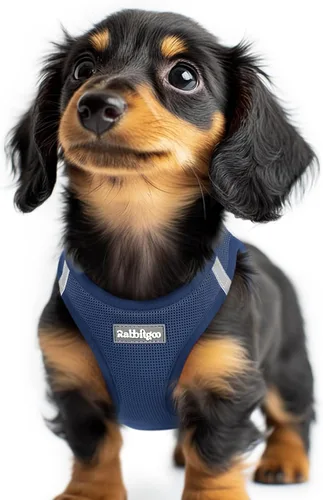 Miniatura 35 de rabbitgoo Arnés para perro pequeño, chaleco de malla suave para cachorros con hebilla de seguridad, arnés reflectante transpirable para mascotas