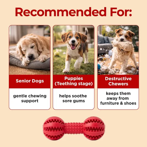 Miniatura 10 de JAYU PET Cepillo de dientes de juguete masticable para perros pequeños y medianos Masticadores agresivos, juguete dental duradero, limpieza