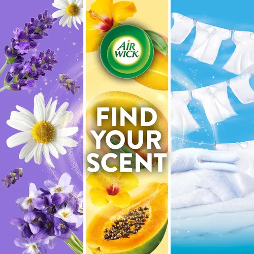 Miniatura 6 de Air Wick Recambio de aceite perfumado para enchufar, 5 unidades, agave azul y bambú, ambientador, aceites esenciales