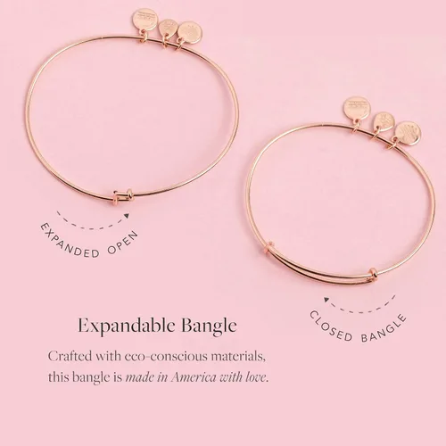 Miniatura 2 de Alex and ANI Brazalete extensible con piedras natales para mujer dije de cristal de amatista del mes de febrero acabado dorado brillante 2 a 35