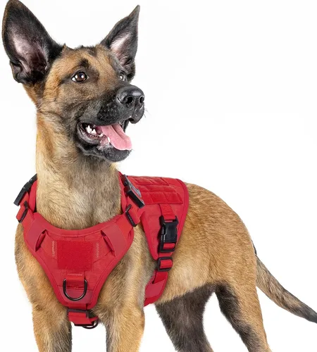 Miniatura 32 de rabbitgoo - Arnés táctico para perros pequeños, arnés resistente para mascotas con asa, chaleco de servicio sin tirones para razas pequeñas, chaleco