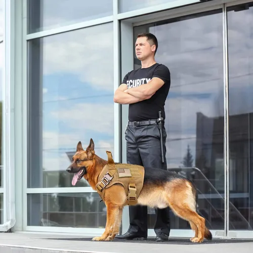 Miniatura 6 de Arnés táctico para perro, chaleco militar a prueba de escape, chaleco militar K9, chaleco de entrenamiento para mascotas para perros medianos