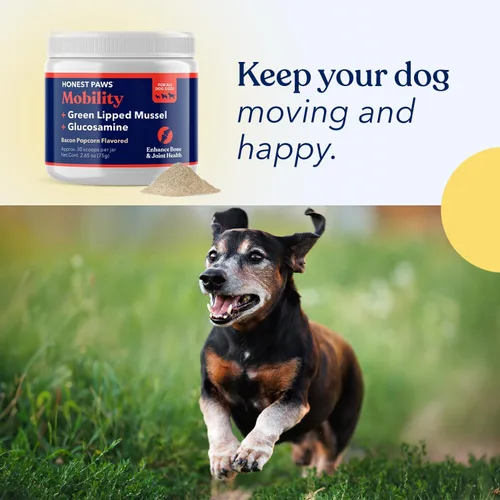 Miniatura 8 de Honest Paws Glucosamina para perros - Suplemento en polvo para articulaciones y movilidad con mejillón de labios verdes, aceite de pescado y MSM