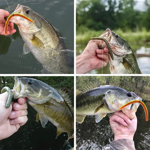Miniatura 2 de Goture Wacky - Kit de señuelo de pesca con plástico suave, herramientas de aparejo loco, juntas tóricas, ganchos de gusano y lanzamiento, cuentas