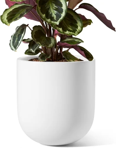 Miniatura 10 de LE TAUCI Maceta para plantas de 10 pulgadas, macetas de cerámica para plantas con orificio de drenaje y tapón de goma, macetas para plantas