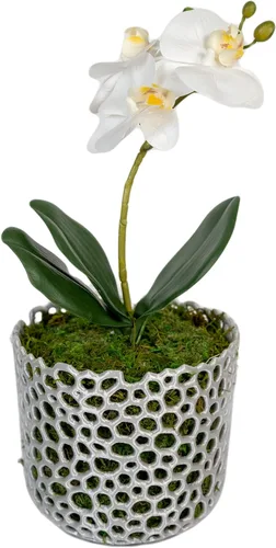 Miniatura 3 de Maceta cilíndrica de malla para orquídeas, maceta de orquídea, maceta de orquídea, maceta de orquídeas, maceta para plantas de aire, maceta
