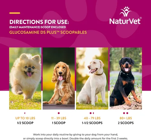 Miniatura 8 de NaturVet Scoopables Suplemento para articulaciones de perro – Glucosamina DS Plus Nivel 2 Cuidado moderado de cadera y articulaciones para perros