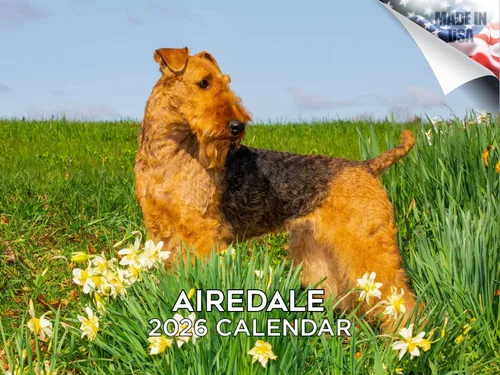 Miniatura 15 de Calendario 2025 2026 de cachorros Cocker Spaniel - Calendario mensual de pared de raza de perro - 12" x 24" abierto - Papel grueso sin sangrado