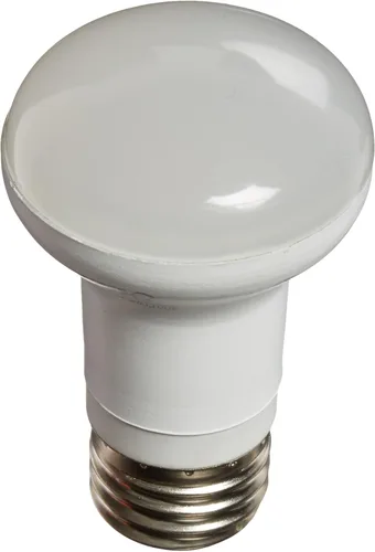 Miniatura 2 de Feit PAR38/G/LEDG5 - Reflector LED verde PAR38
