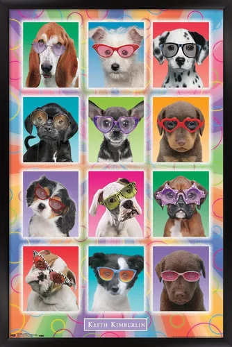 Miniatura 8 de Trends International Keith Kimberlin - Póster de pared con diseño de cachorros, gafas de sol, 14.725 x 22.375 pulgadas, versión enmarcada de madera
