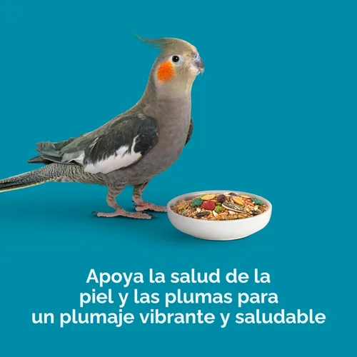 Miniatura 8 de Comida saludable para pájaros Kaytee Forti Diet Pro, para periquitos, Pastel de cumpleaños