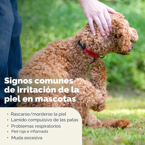 Miniatura 6 de Vetnique Dermabliss Clorhexidina para la salud de la piel de los perros, aerosol medicado antibacteriano, para infecciones de la piel e irritación
