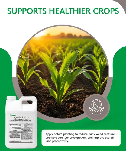 Miniatura 6 de ALLIGARE Concentrado de amina 2,4-D herbicida posemergente para controlar la trenza de cerdo, cardo y más, 46.8% de ingrediente activo, para césped