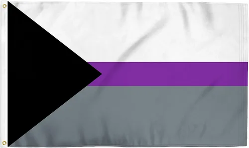 Bandera del orgullo LGBTQ+ demisexual de 3 x 5 pies, colores vibrantes llamativos, resistente a los rayos UV, ojales de latón dorado, poliéster
