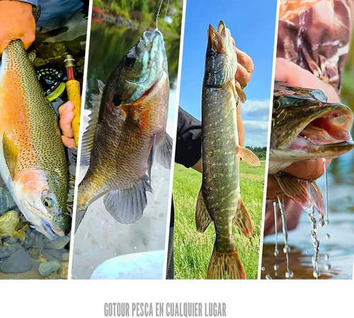 Miniatura 7 de GOTOUR Pre-Rigged Soft Fishing Lures with Weedless Hook, Lifelike Paddle Tail Swimbaits for Bass Fishing, Freshwater & Saltwater Fishing Bait