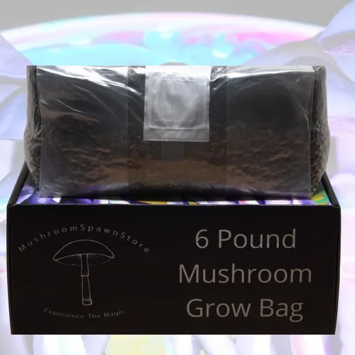 Miniatura 4 de Bolsa de cultivo de hongos de 6 libras, kit de cultivo todo en uno en una bolsa, desbroce de grano esterilizado y sustrato a granel, puerto