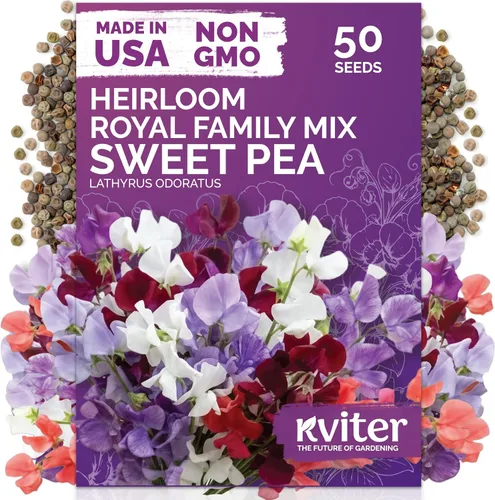 Miniatura 46 de KVITER 1600 semillas de pensamiento de los gigantes suizos para plantar (Viola wittrockiana) - Paquetes de semillas de colores mixtos Flores