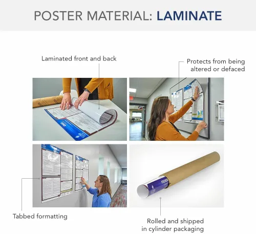 Miniatura 3 de Juego de carteles de la ley laboral federal y de Puerto Rico 2026 (inglés, estado de relaciones públicas) - Pósteres laminados que cumplen
