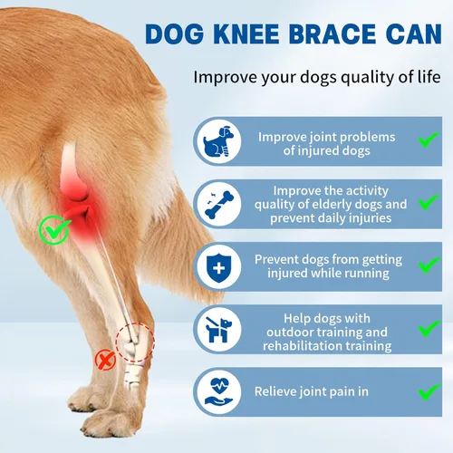Miniatura 4 de Rodillera ajustable para perros para todas las piernas, rodillera ajustable para desgarro de la pierna trasera, mantiene las articulaciones
