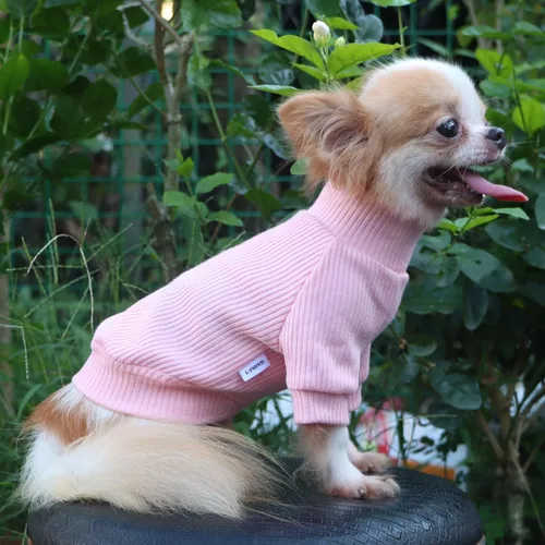 Miniatura 5 de LOPHIPETS Suéteres de cuello alto para perros pequeños, ropa para cachorros Chihuahua, rosa claro brillante, M