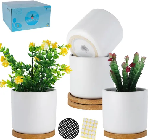 Miniatura 9 de Macetas de cerámica de 4 pulgadas con agujeros de drenaje, adorable maceta con bandeja para plantas de interior, suculentas, plantas de serpiente