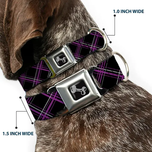 Miniatura 2 de Buckle-Down Collar de perro con hebilla para cinturón de seguridad, a cuadros, negro, morado, gris, 1 pulgada de ancho, se adapta a cuello de 9 a 15