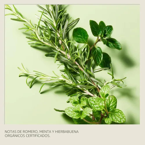 Miniatura 11 de Aveda Rosemary Mint Purifying Shampoo Clarifying Shampoo Gently Removes Buildup, Adds Shine For Normal to Oily Hair, Fine to Medium Hair Types