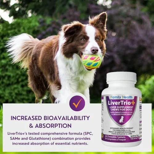 Miniatura 7 de Suplemento integral de apoyo hepático para perros más pequeños. Tabletas masticables sabrosas que combinan las mismas, SPC, silybin A+B, + glutatión