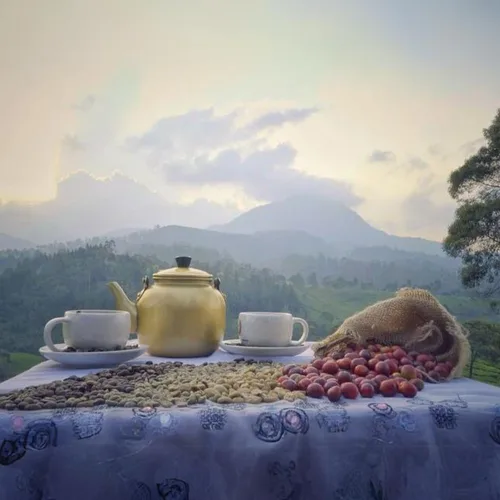 Miniatura 3 de Kaya Kopi Granos de café arábica Kopi Luwak de Indonesia Wild Palm Civets (miel kopi, 3.52 onzas (paquete de 1))