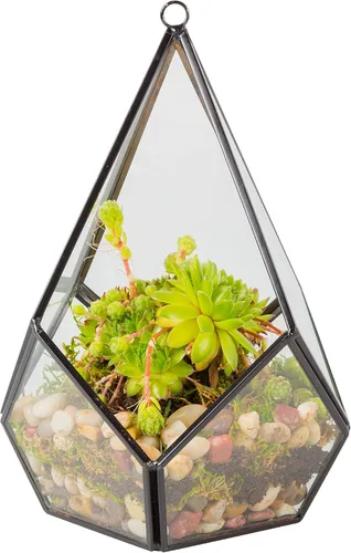 D'Eco - Centro de mesa con forma de lágrima de cristal (6 x 6 x 7 pulgadas), terrario para mesa o colgante, decoración de primavera para el hogar y