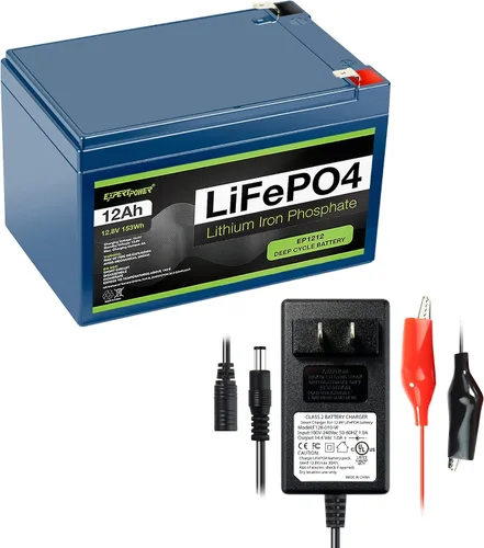ExpertPower Batería de litio LiFePO4 de 12 V 12 Ah, cargador inteligente de 12 V 1 A | DC 5521 macho y clips de cocodrilo | Coche de juguete para