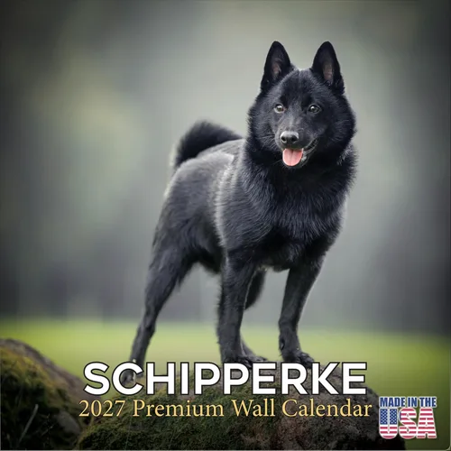 Miniatura 123 de Calendario amarillo 2025 2026 de Labrador Pups – Calendario mensual de pared de raza de perro – 12" x 24" abierto – Papel grueso anti-traspaso