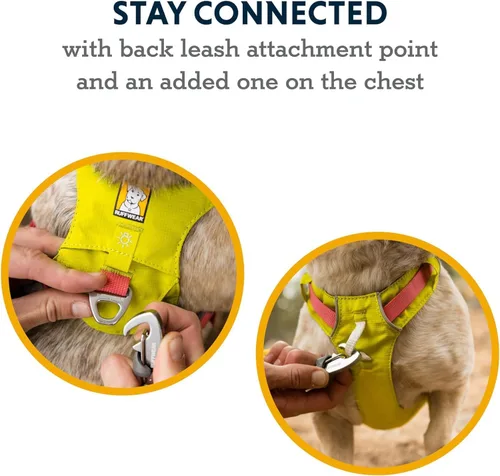 Miniatura 5 de Ruffwear, Hi & Light, Arnés ligero para perro de uso diario, correr en senderos, caminar, senderismo, uso todo el día, rosa alpenglow, XXXS