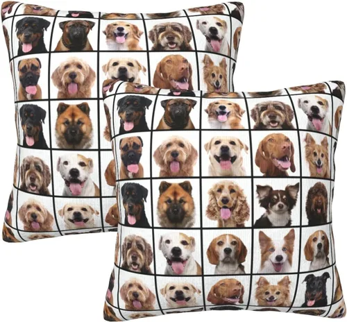 Miniatura 10 de Fiokroo Juego de 2 fundas de almohada de goma con diseño de patos de dibujos animados amarillos, fundas de almohada cuadradas para sofá, dormitorio