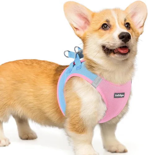 Miniatura 69 de rabbitgoo Arnés para perro pequeño, chaleco de malla suave para cachorros con hebilla de seguridad, arnés reflectante transpirable para mascotas
