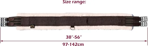 Miniatura 8 de T TEKE Contornos diarios en inglés para caballos: Acolchado con forro polar, elástico de doble cara resistente y hebillas de acero inoxidable
