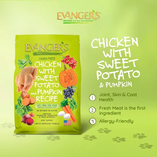 Miniatura 2 de Evanger's Pollo sin granos con batata y calabaza alimento seco para perros – 4.4 libras – Pollo fresco deshuesado, probióticos, omegas 3 y 6, sin