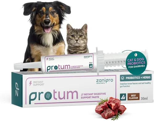 Miniatura 10 de Protum - Pasta probiótica para perros, fórmula prebiótica avanzada de 1.0 fl oz para apoyo digestivo, sabroso sabor a maní para la salud intestinal