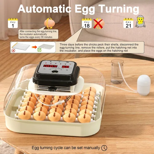 Miniatura 5 de CoInceptus 35 incubadoras de huevos para incubar huevos, incubadora de huevos con giro automático de huevos y control de humedad, incubadora