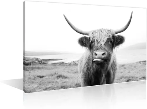 Arte de pared en blanco y negro con diseño de vaca escocesa de las tierras altas en la Isla de Mull impresiones sobre lienzo, decoración del hogar